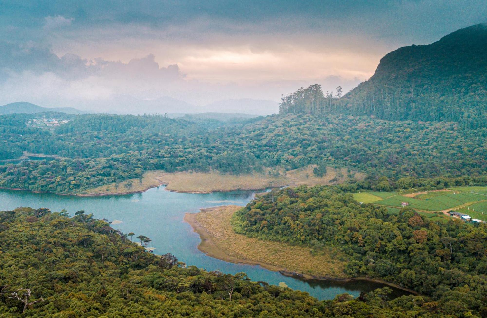 The Forest And Lake By Schofieldshire Nuwara Eliya Eksteriør bilde
