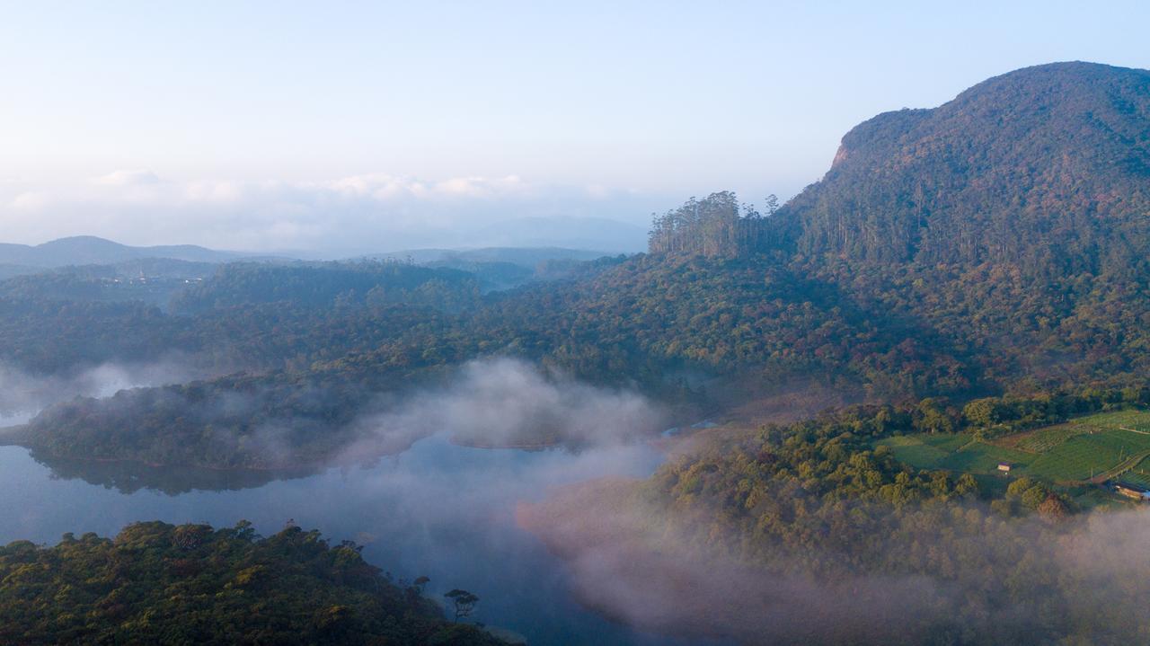 The Forest And Lake By Schofieldshire Nuwara Eliya Eksteriør bilde
